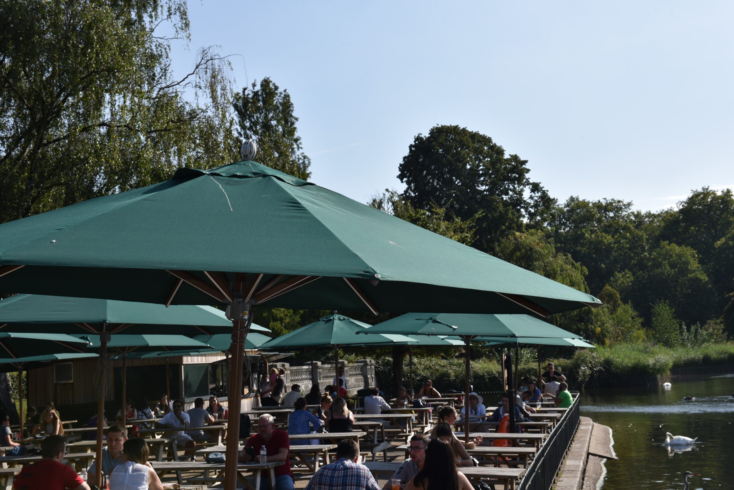Hurricane Bamboo Finish – London Parks - 2