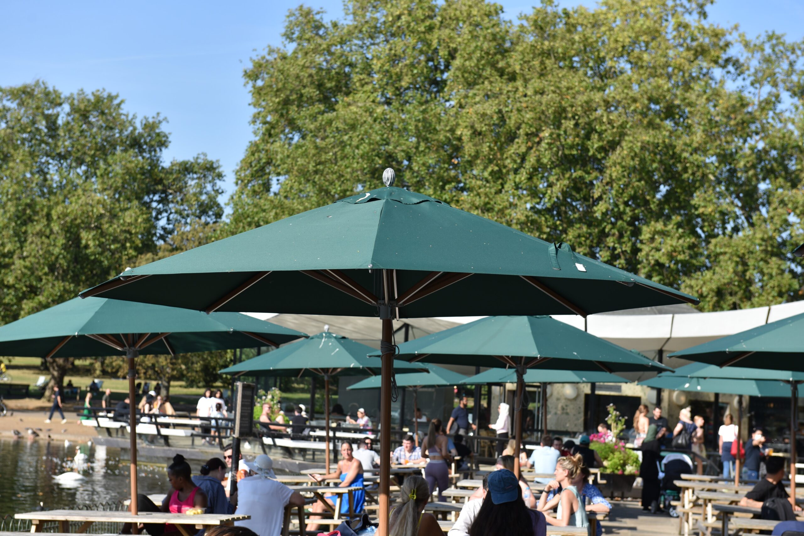 Hurricane Bamboo Finish – London Parks - 3