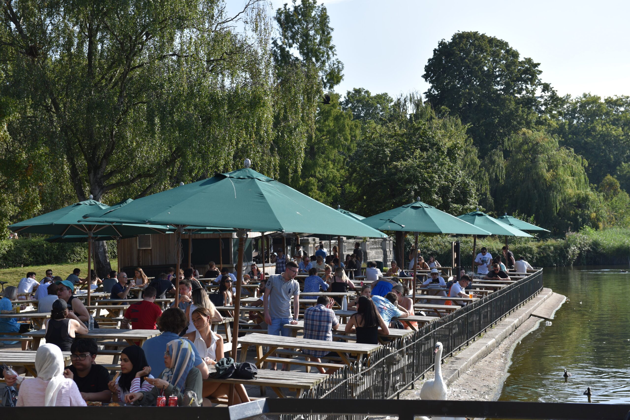Hurricane Bamboo Finish – London Parks - 5