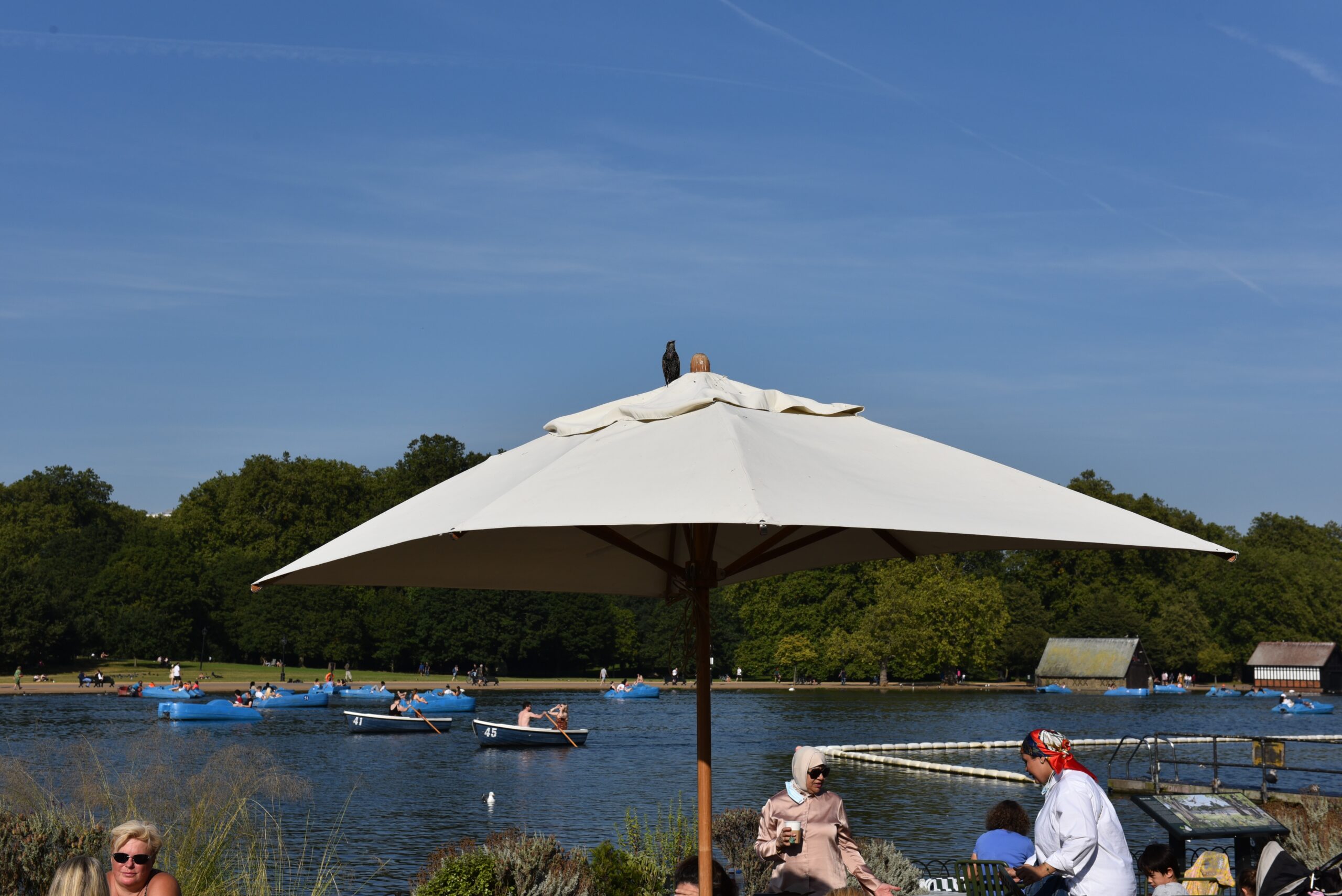 Levante – Hyde Park - 2